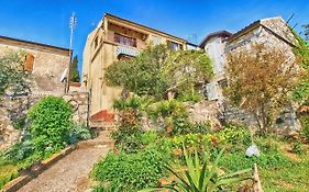 Apartments Danica 271